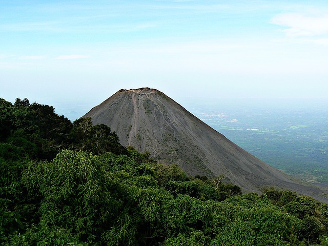 Photo of Salvador